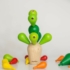 Kép 2/7 - Egyensúlyozó – Kaktusz